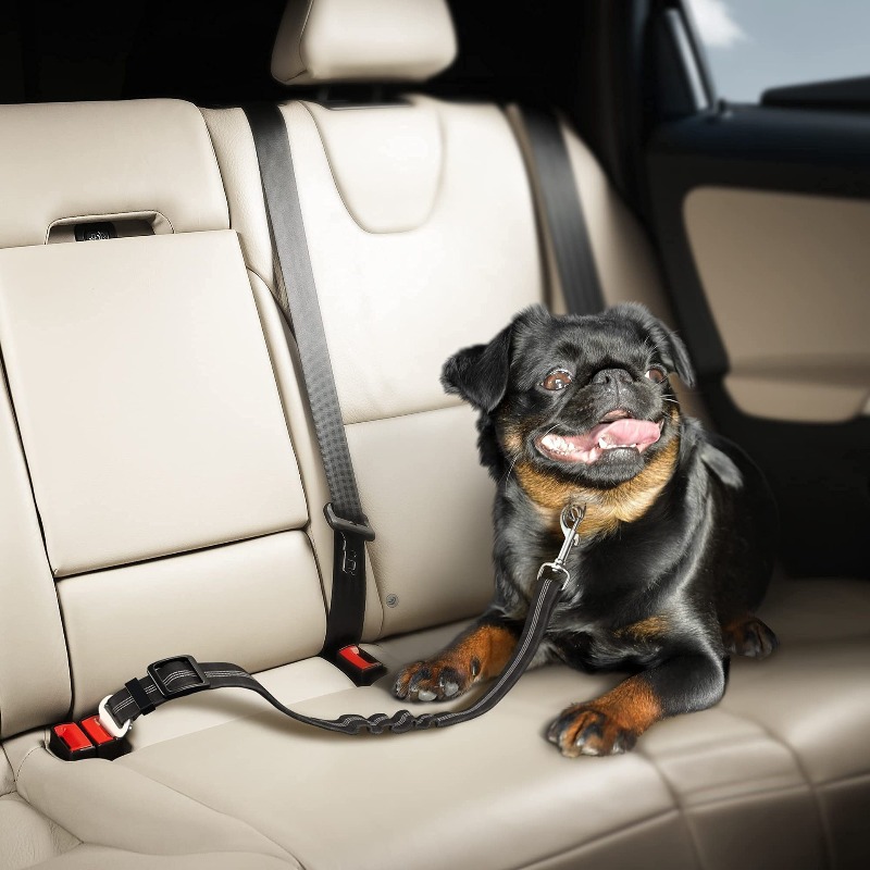 Retractable Dog Car Harness Se - đánh giá và giá Snap Fastener Setter