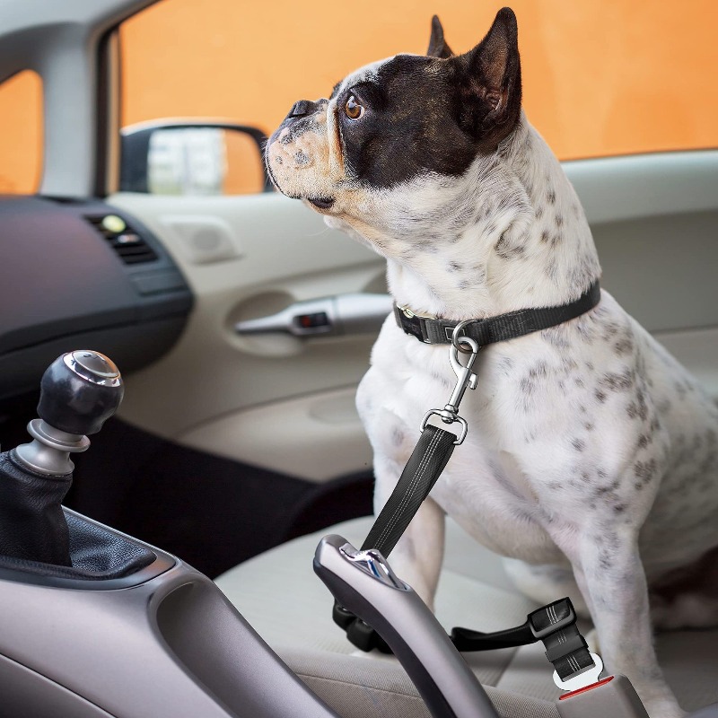 Retractable Dog Car Harness Se - đánh giá và giá Snap Fastener Setter